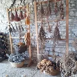 Del Frontino - Lo * Acqualagna