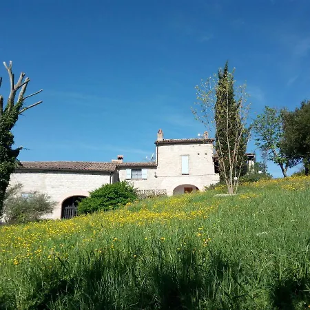 Apartmán Del Frontino - Lo *