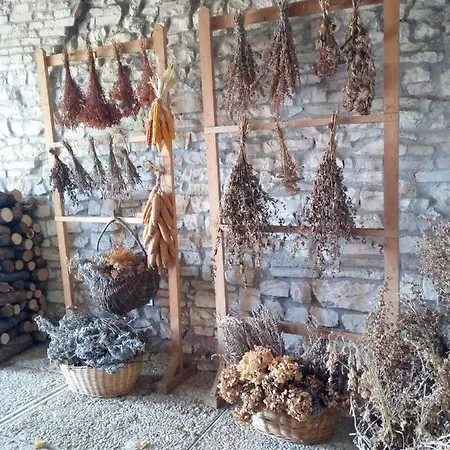 Del Frontino - Lo * أكوالاغنا