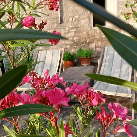 Del Frontino - Lo * Acqualagna