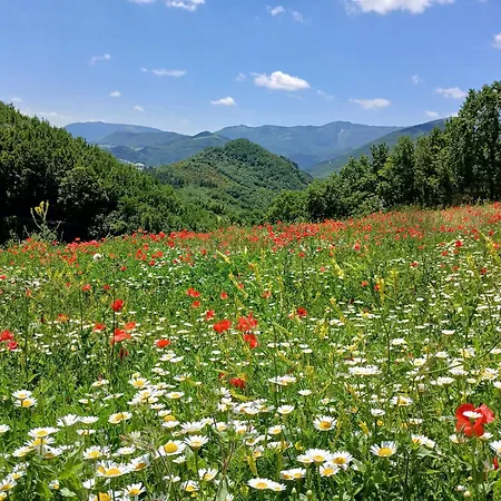 Del Frontino - Lo * Acqualagna